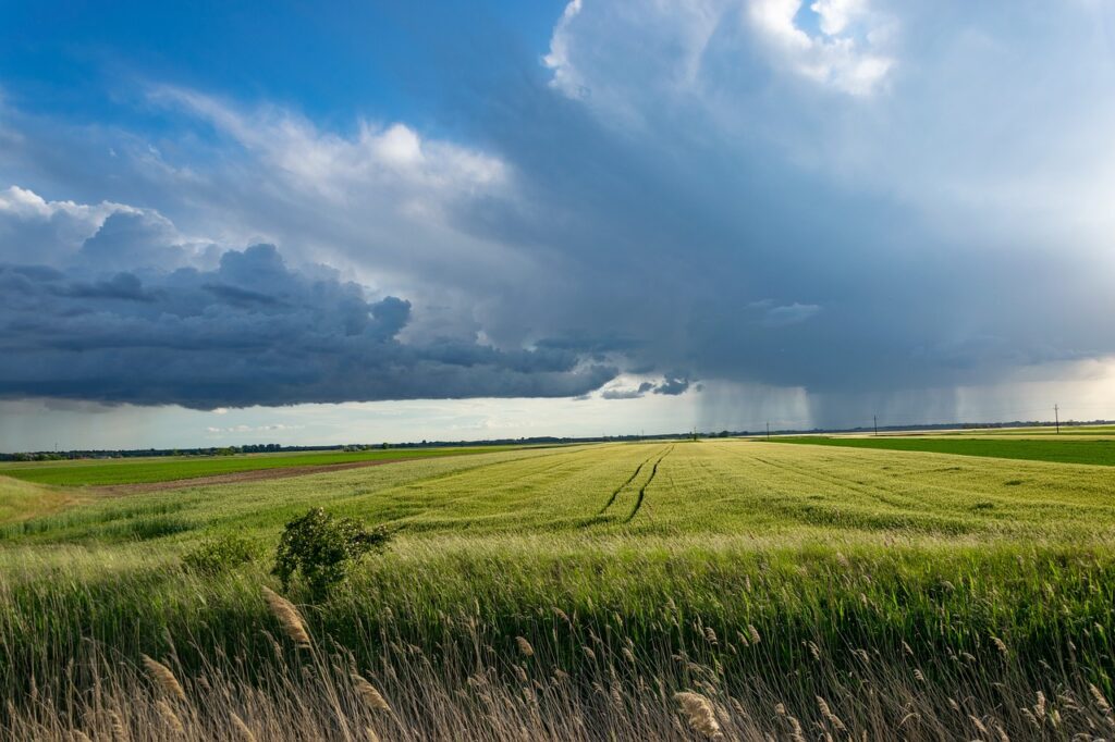 What Role Does Crop Diversity Play In Resilience To Market Fluctuations?