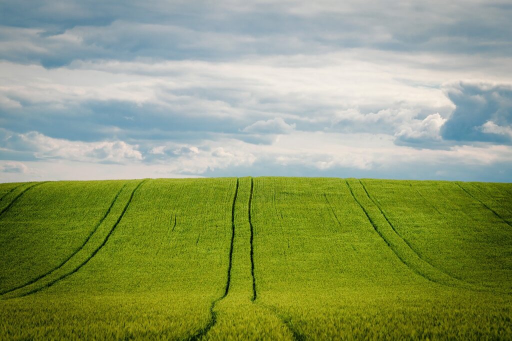 What Role Does Crop Diversity Play In Resilience To Market Fluctuations?